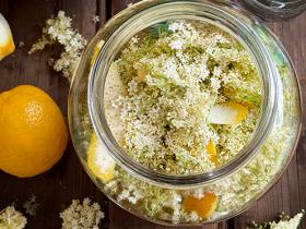 elderflower_liqueur_2